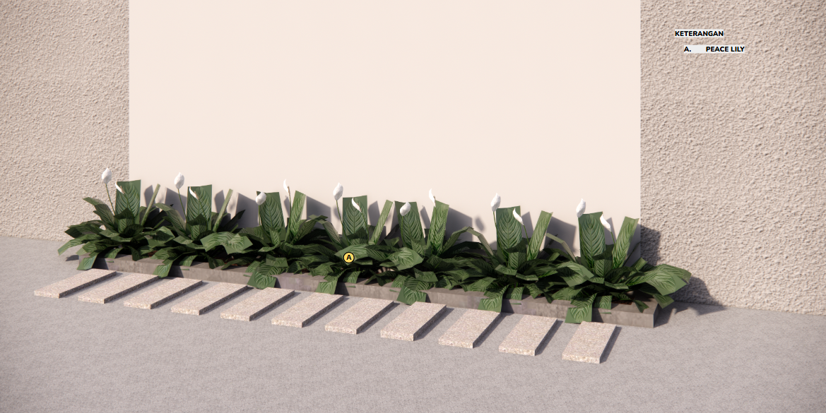 Minimalis