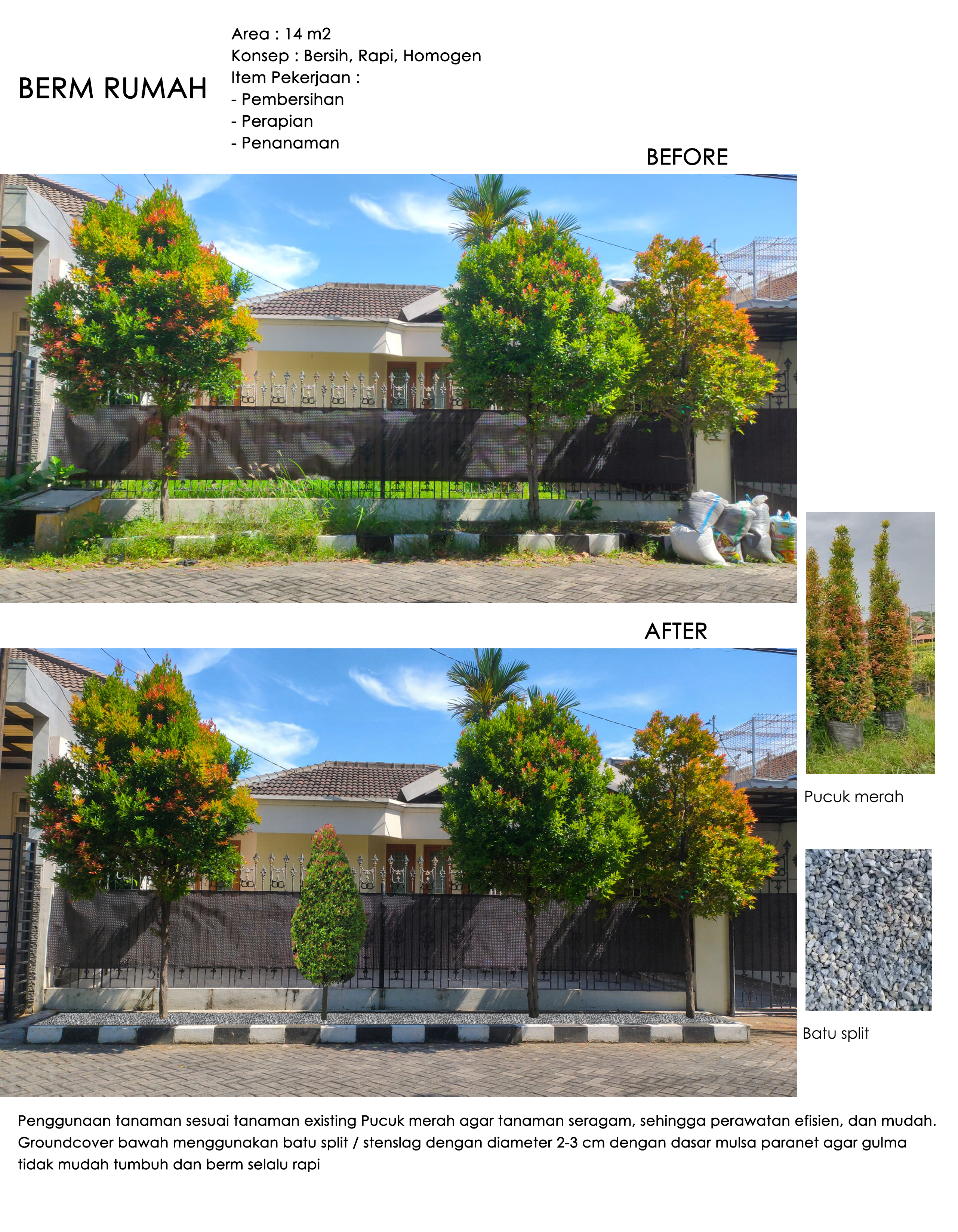 desain taman