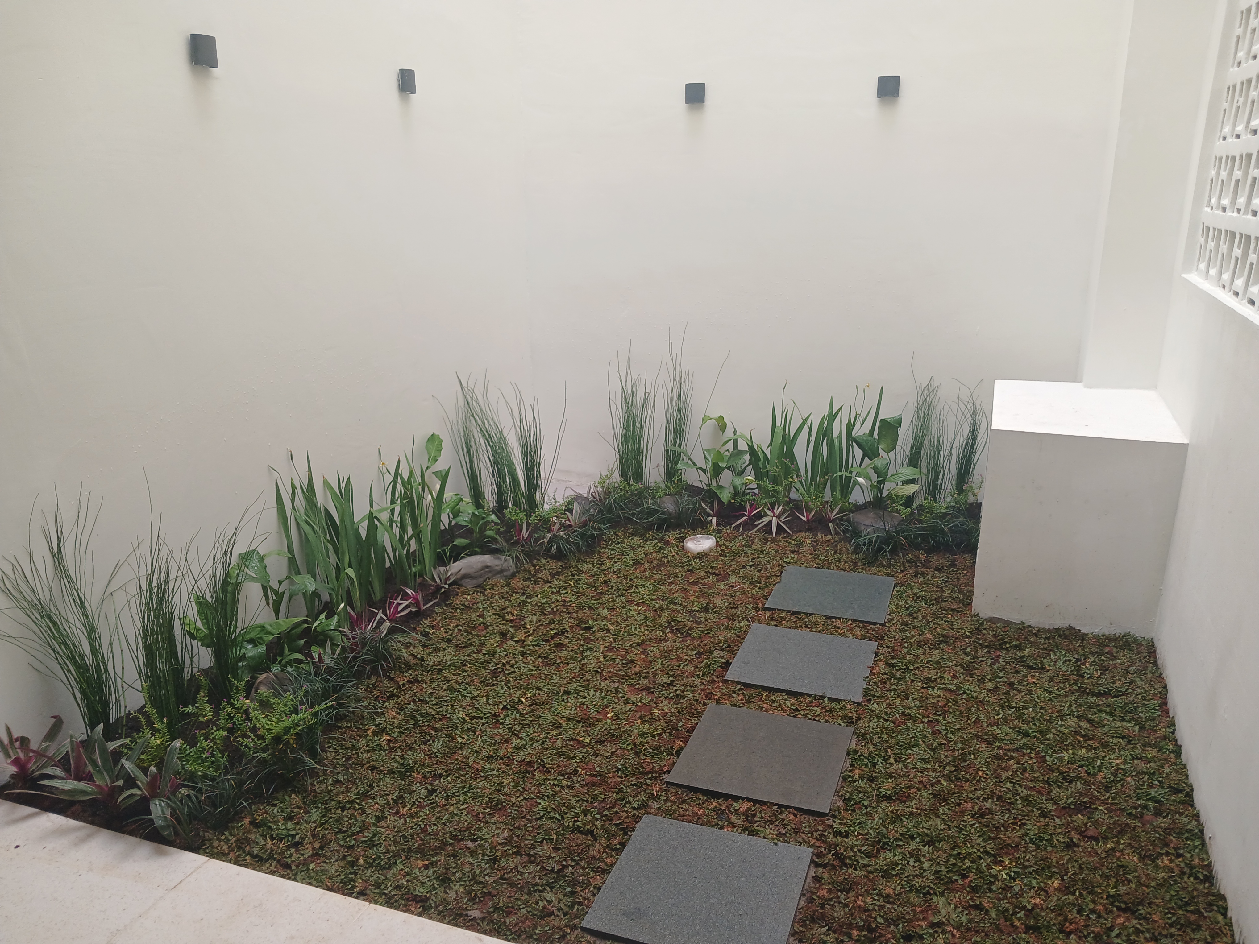 desain taman