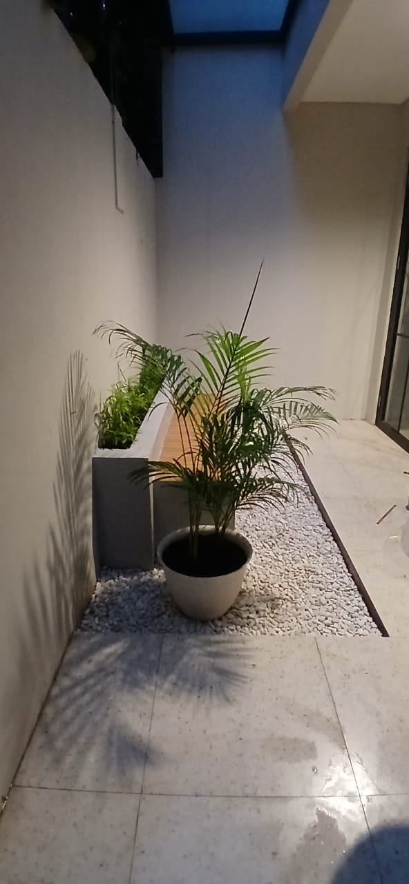 Minimalis