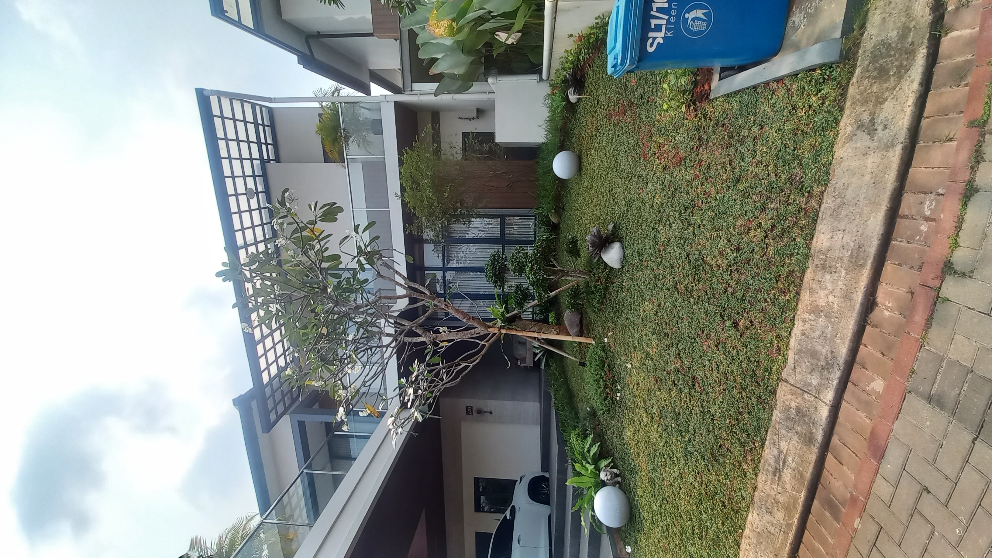 Minimalis