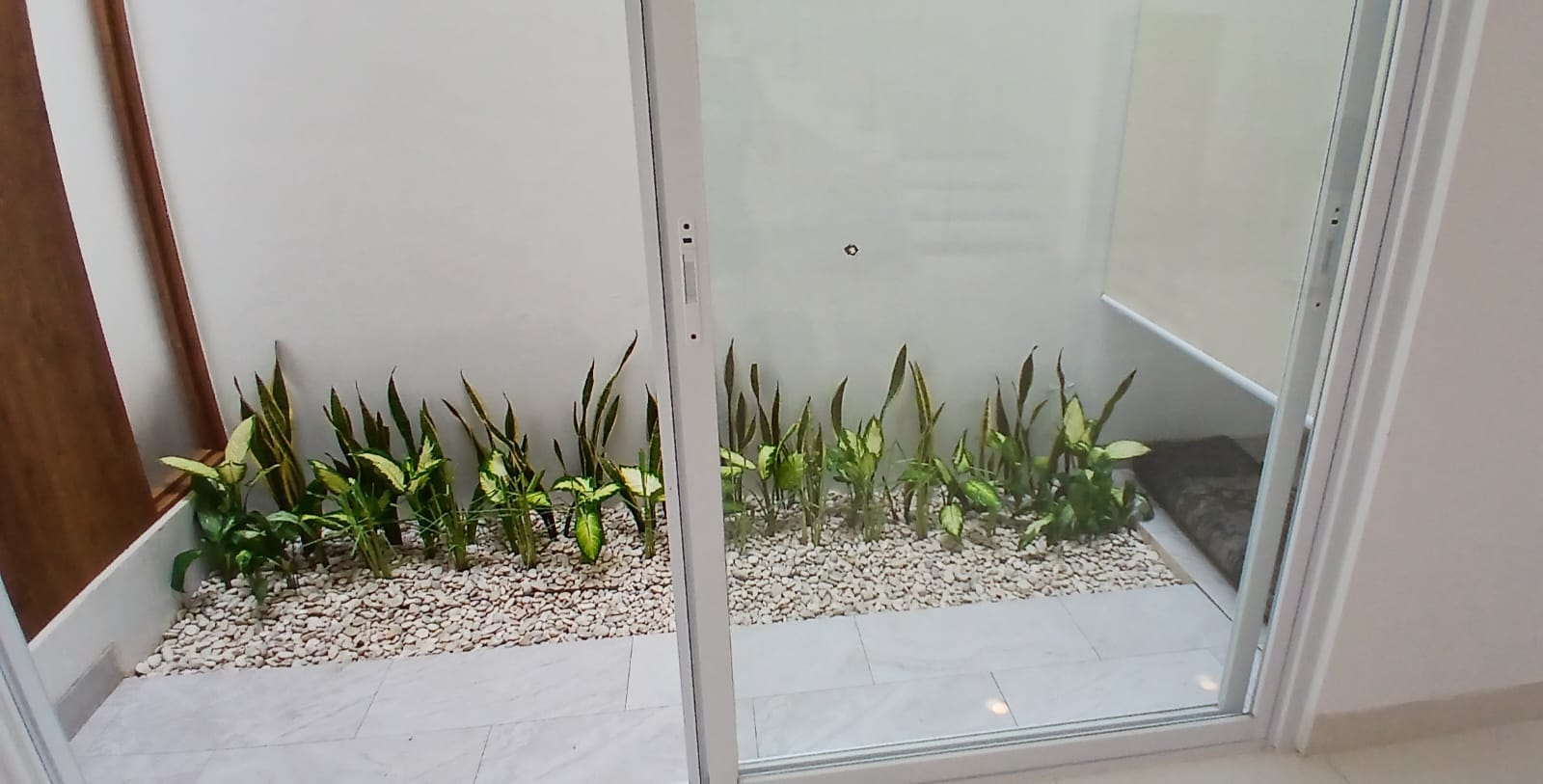 Minimalis