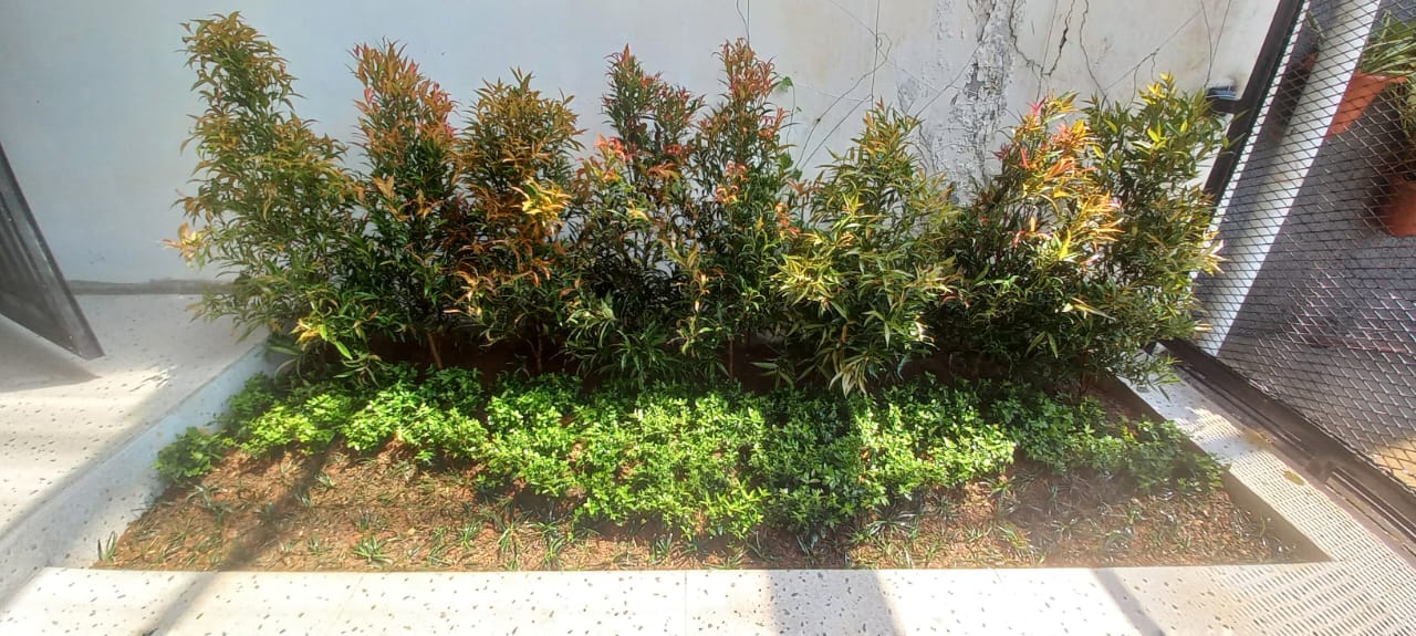 desain taman