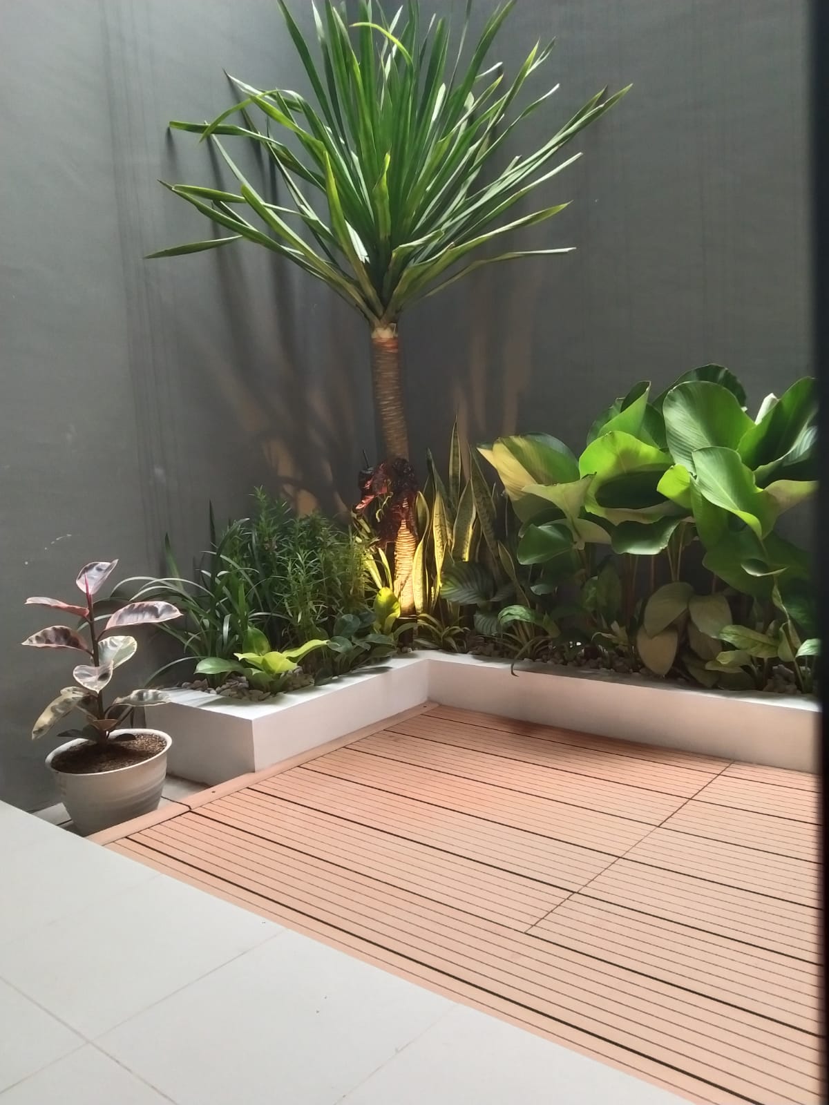 desain taman