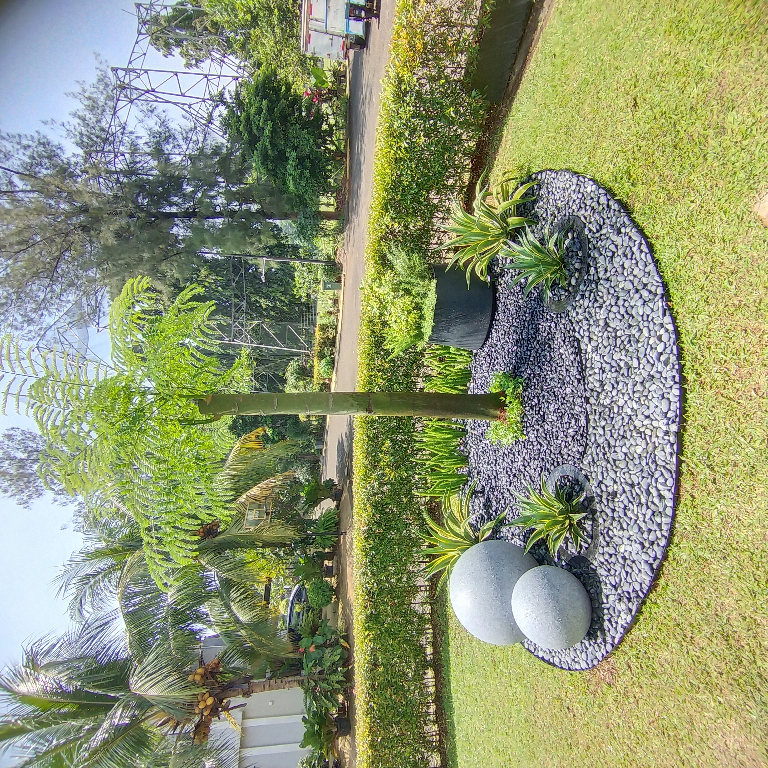 desain taman