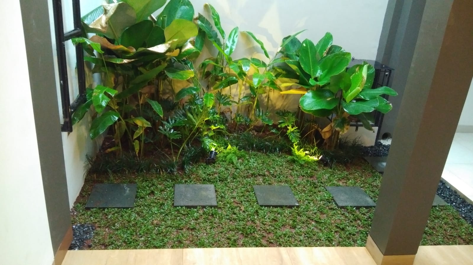 Tropis