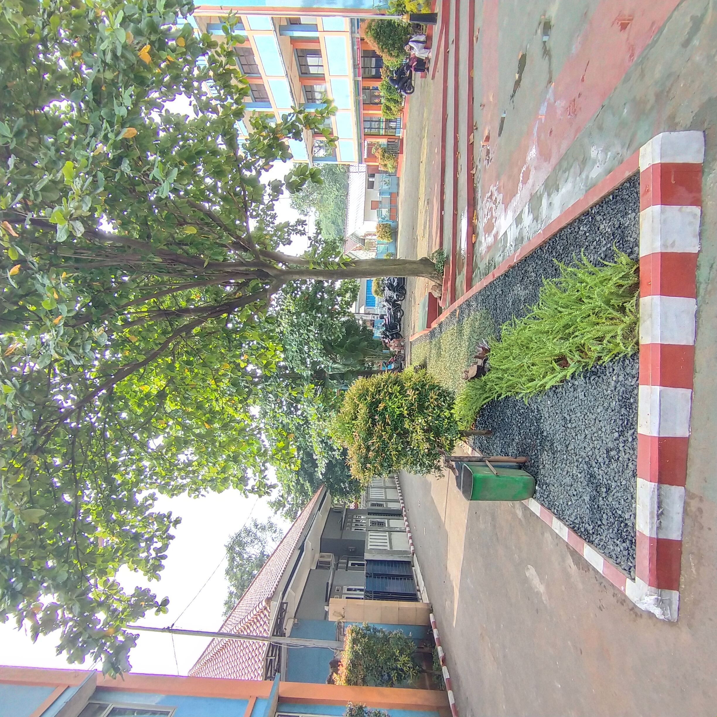 Tropis
