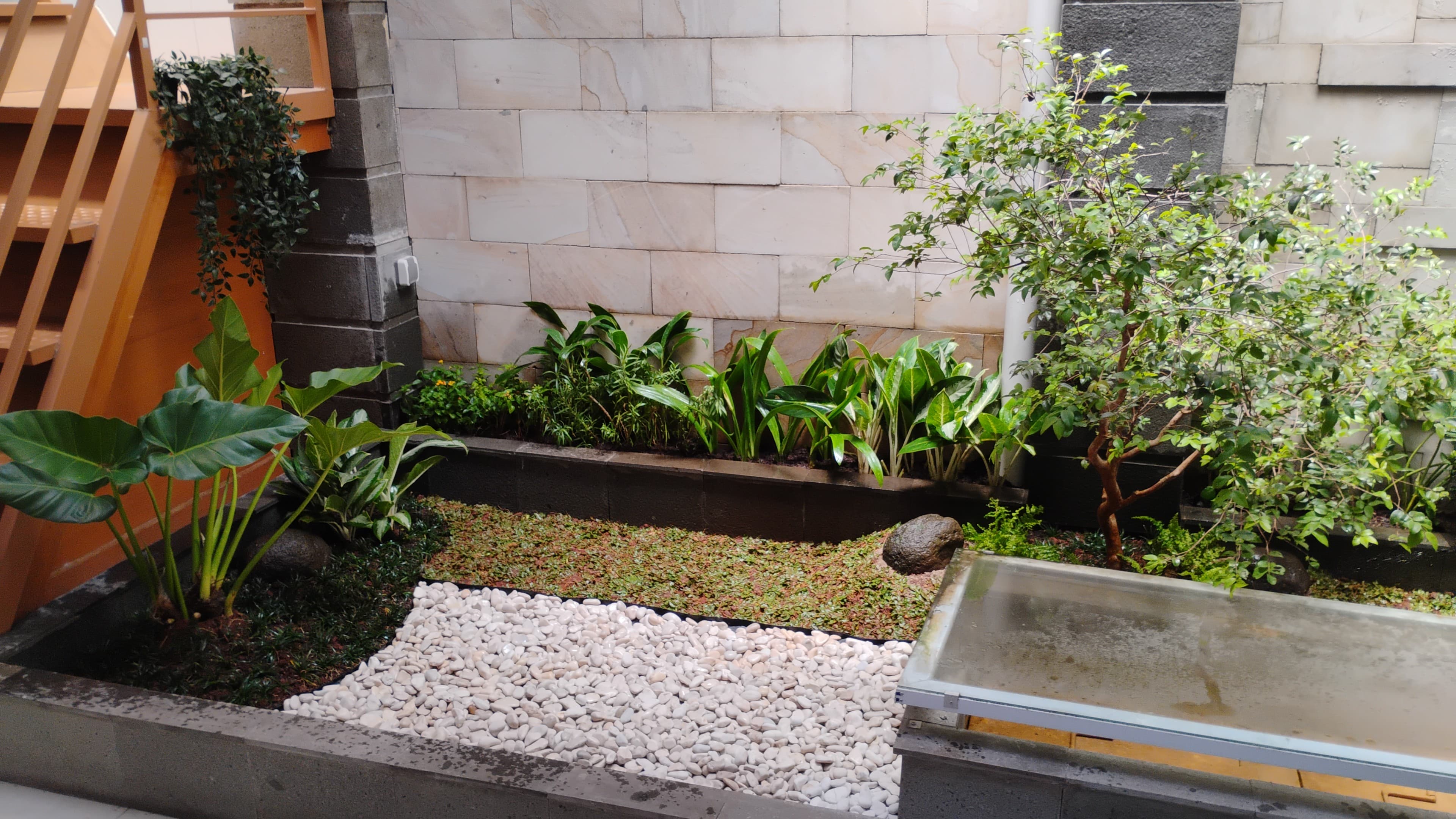 desain taman