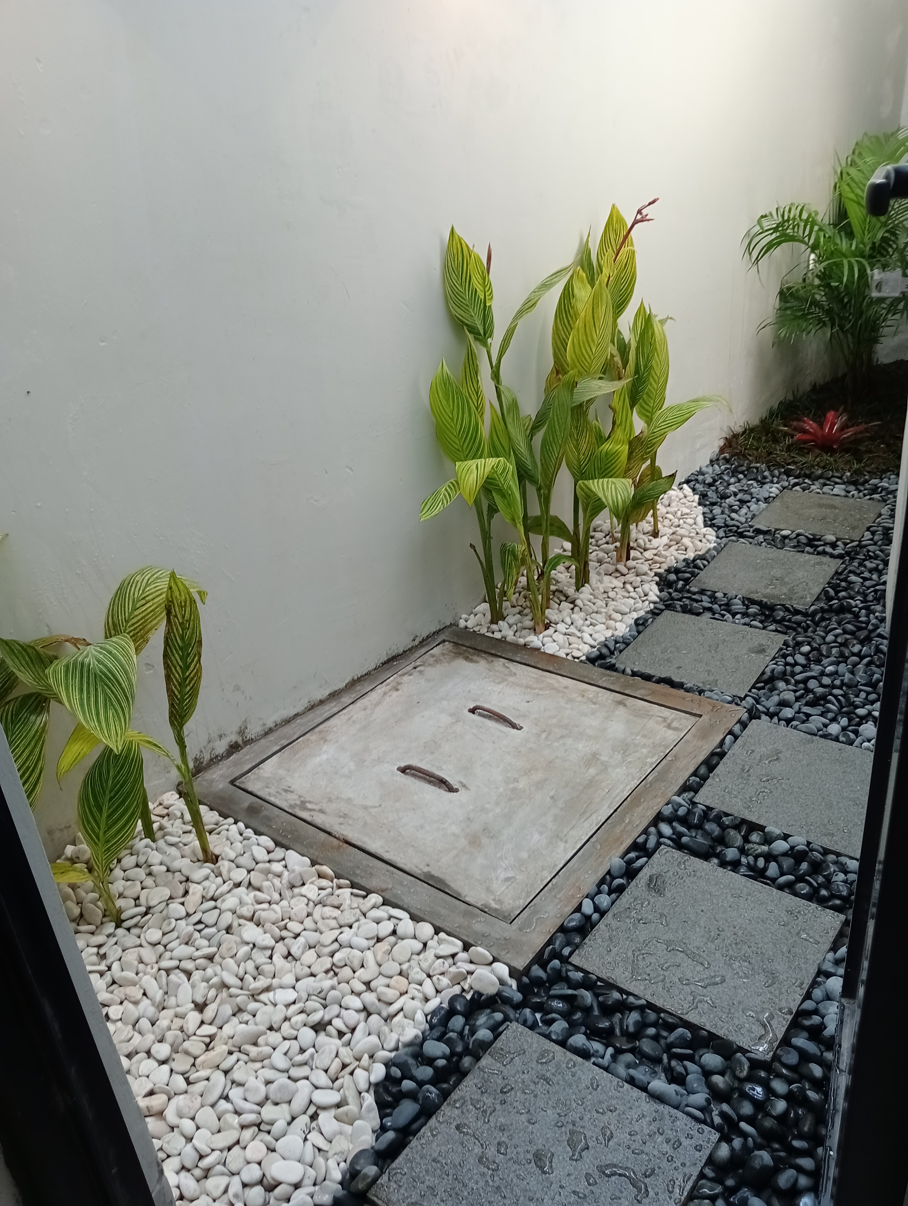 desain taman