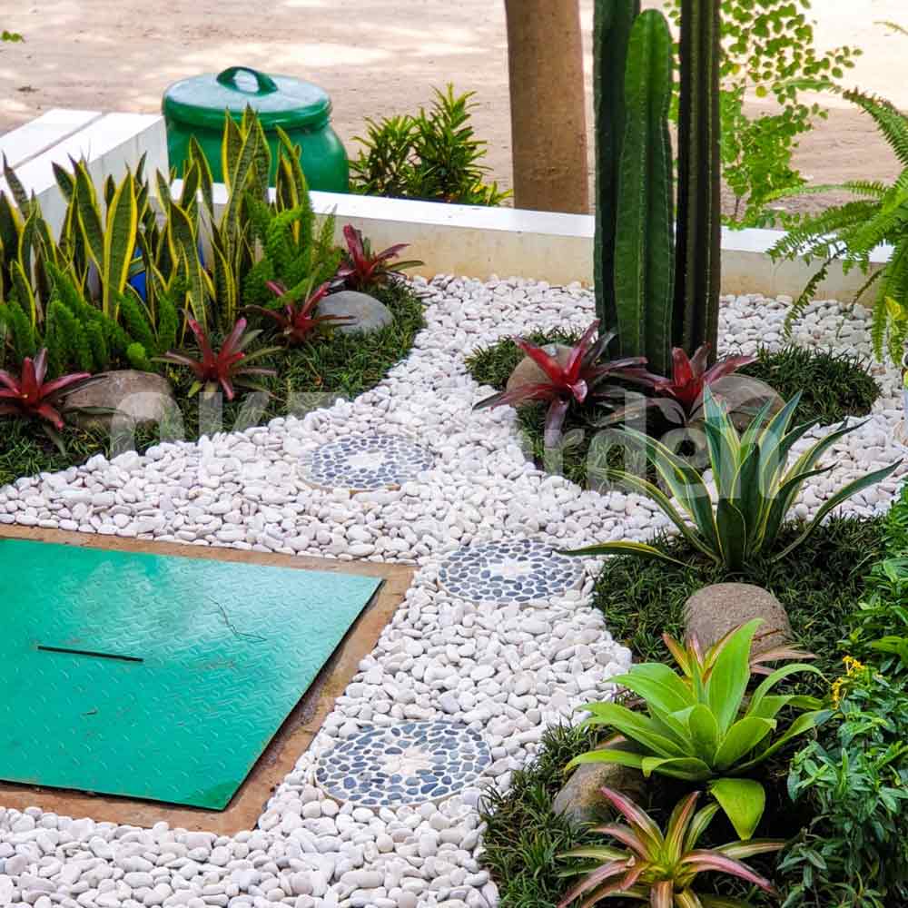 desain taman