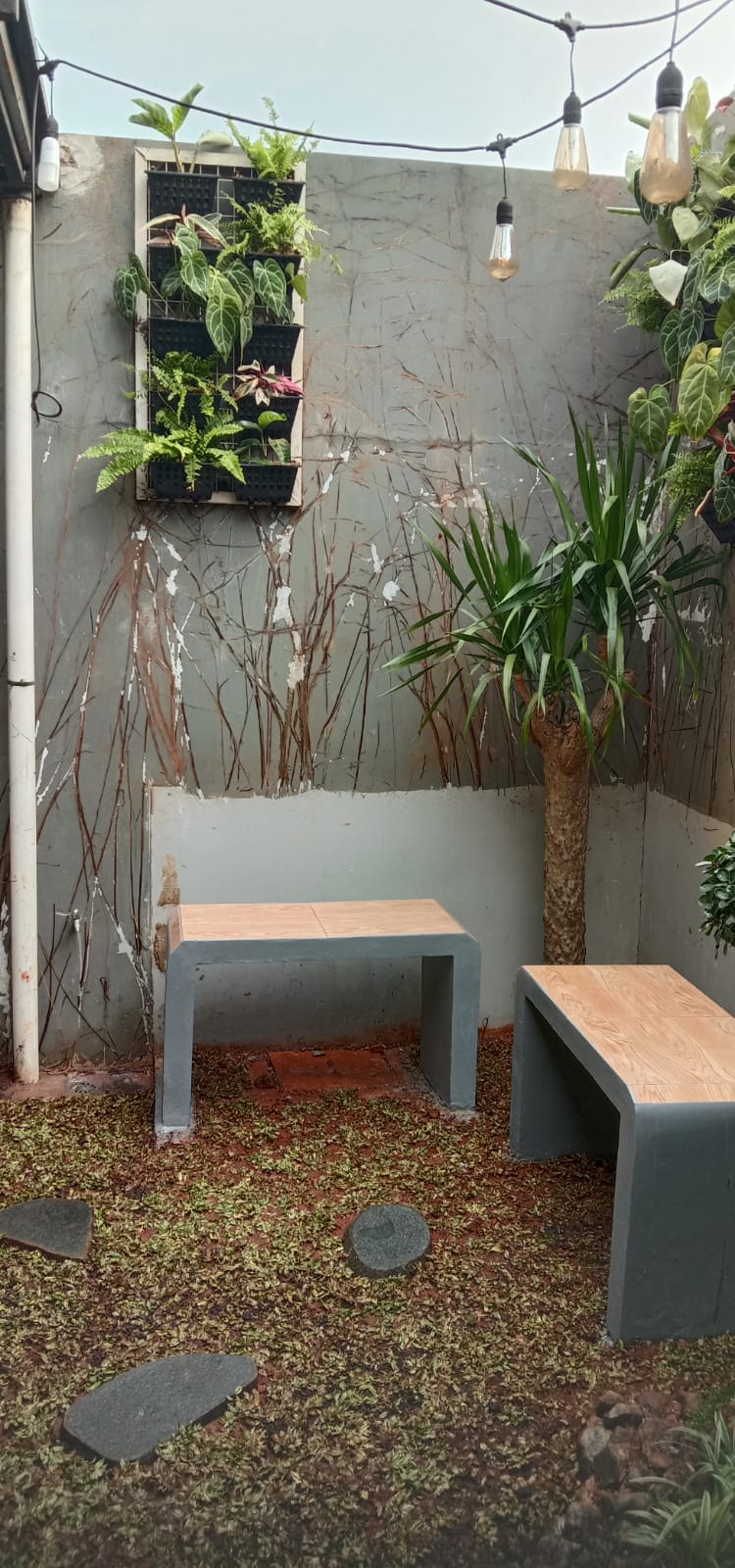 desain taman