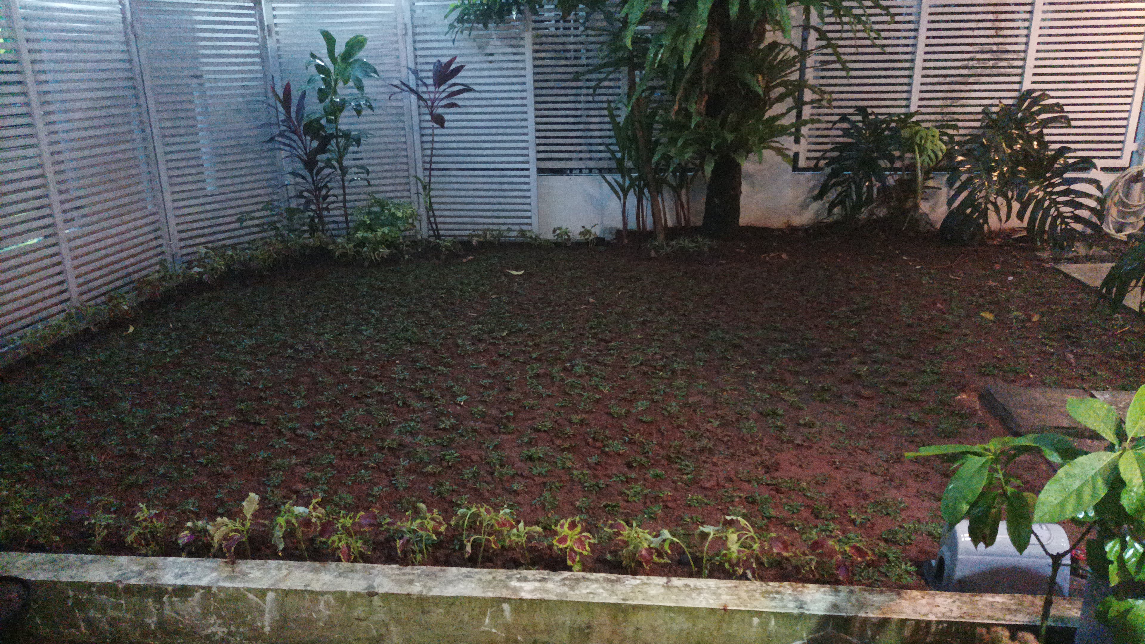 desain taman
