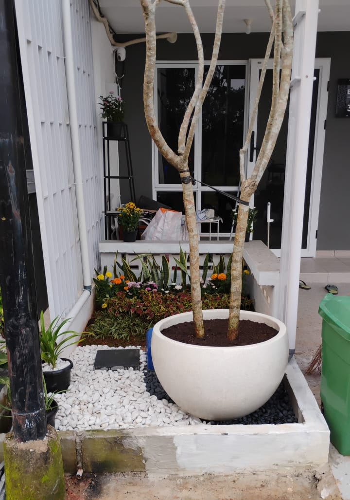 desain taman