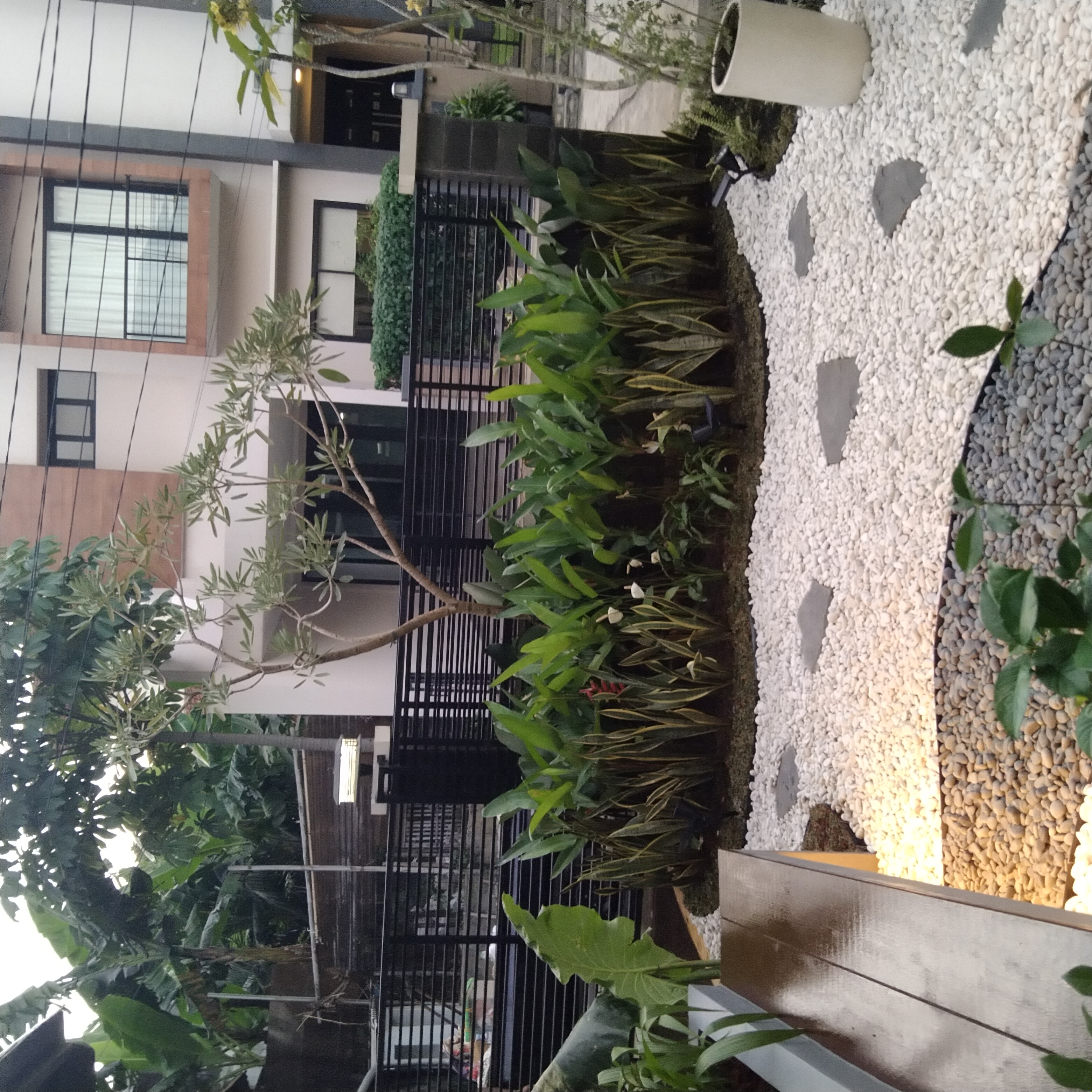 desain taman