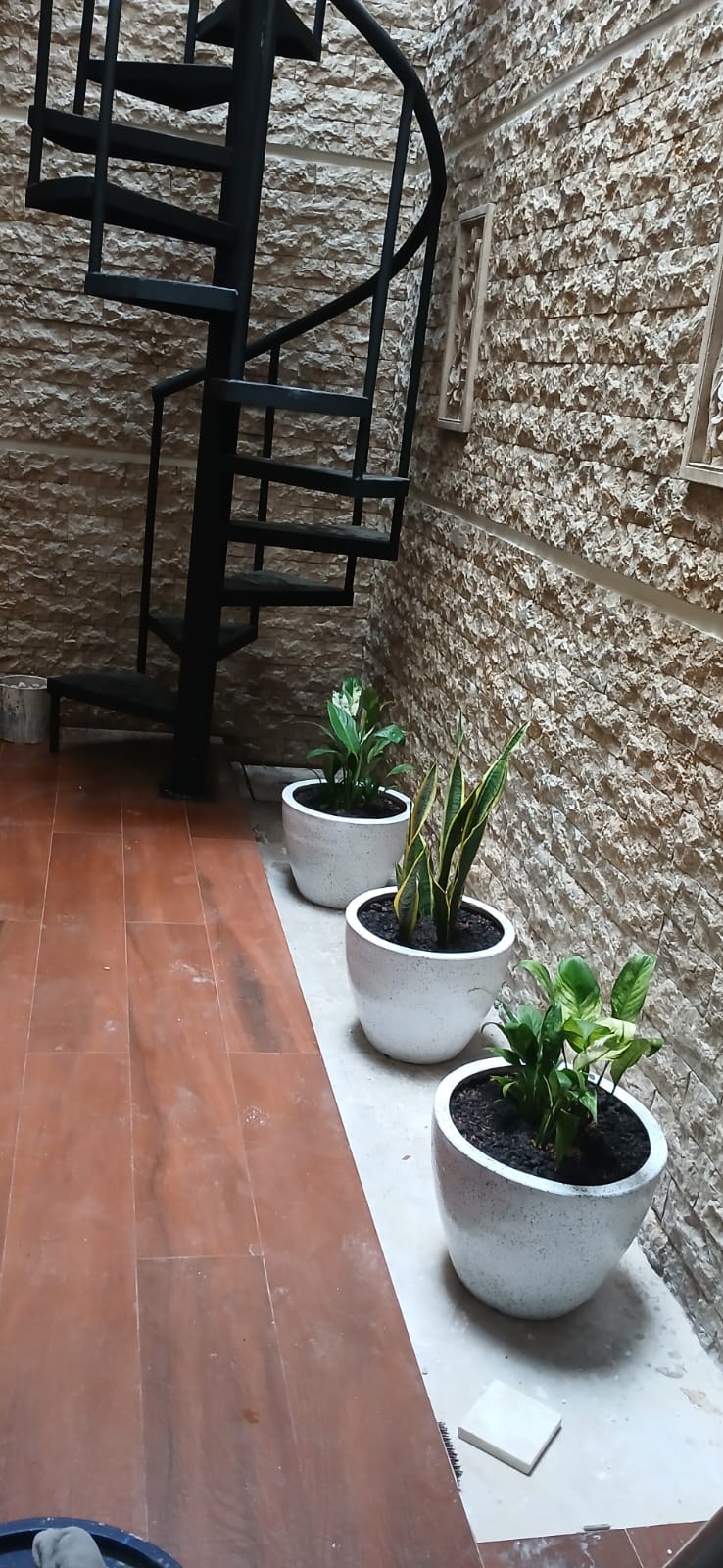 Minimalis