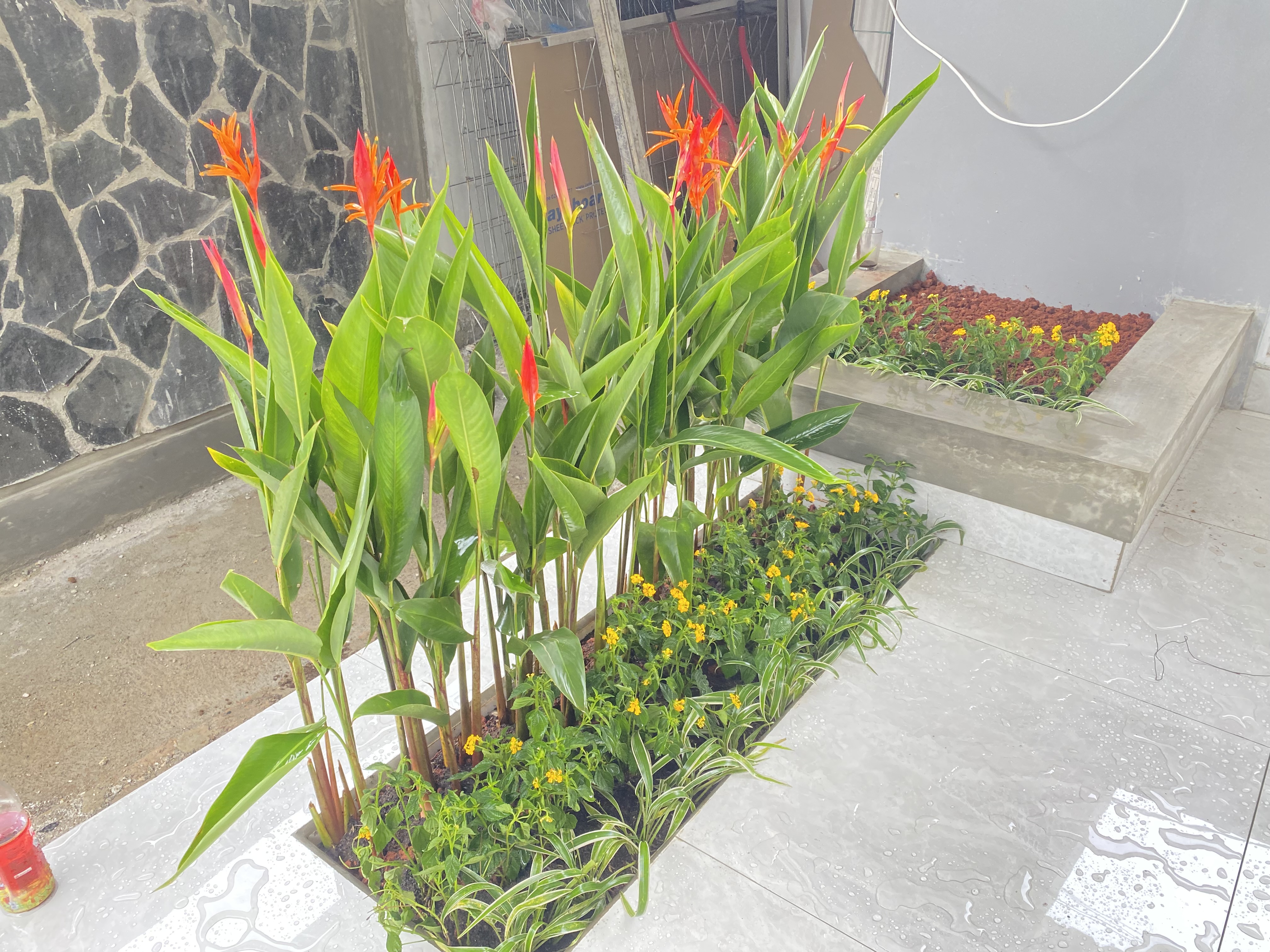 desain taman
