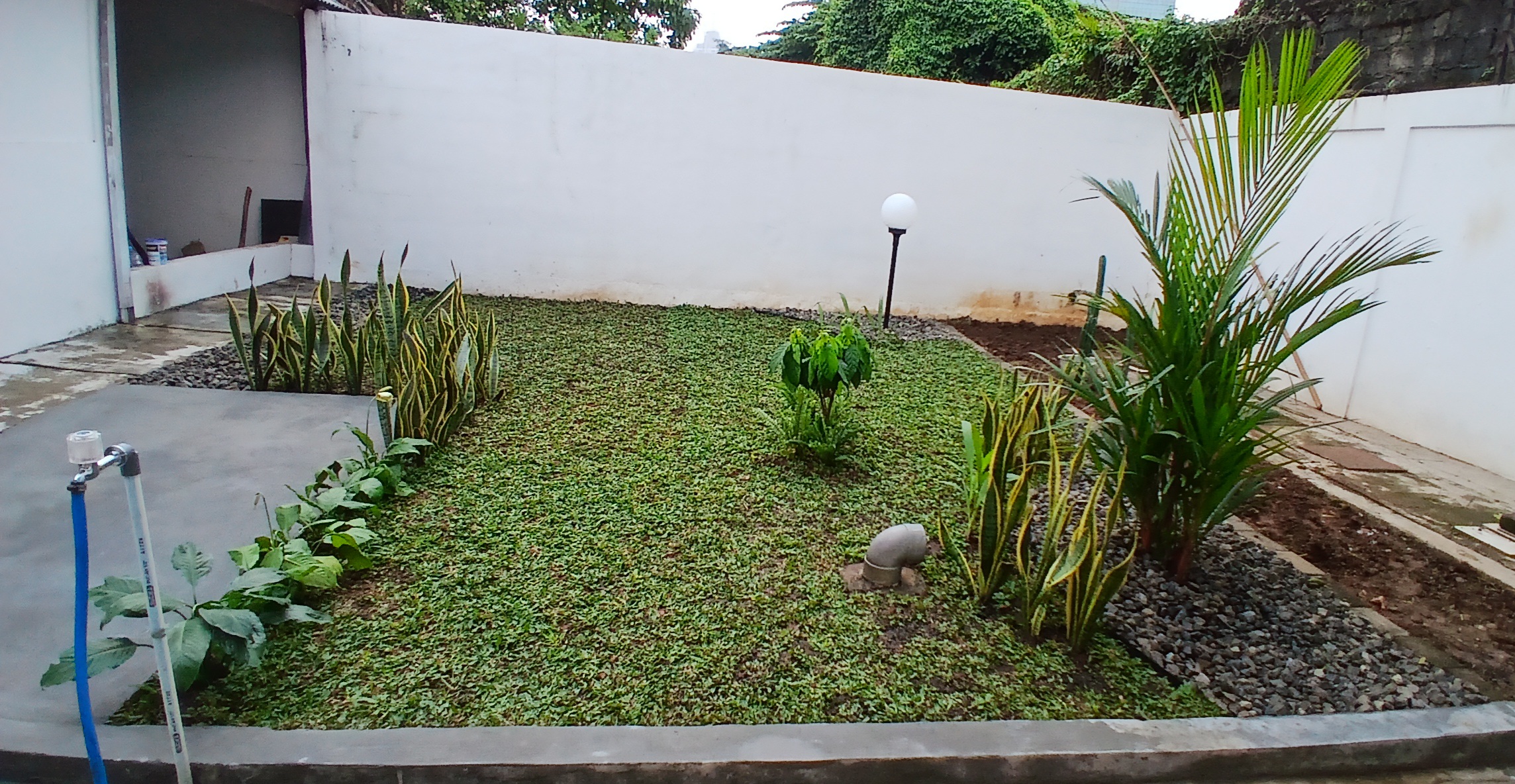 desain taman