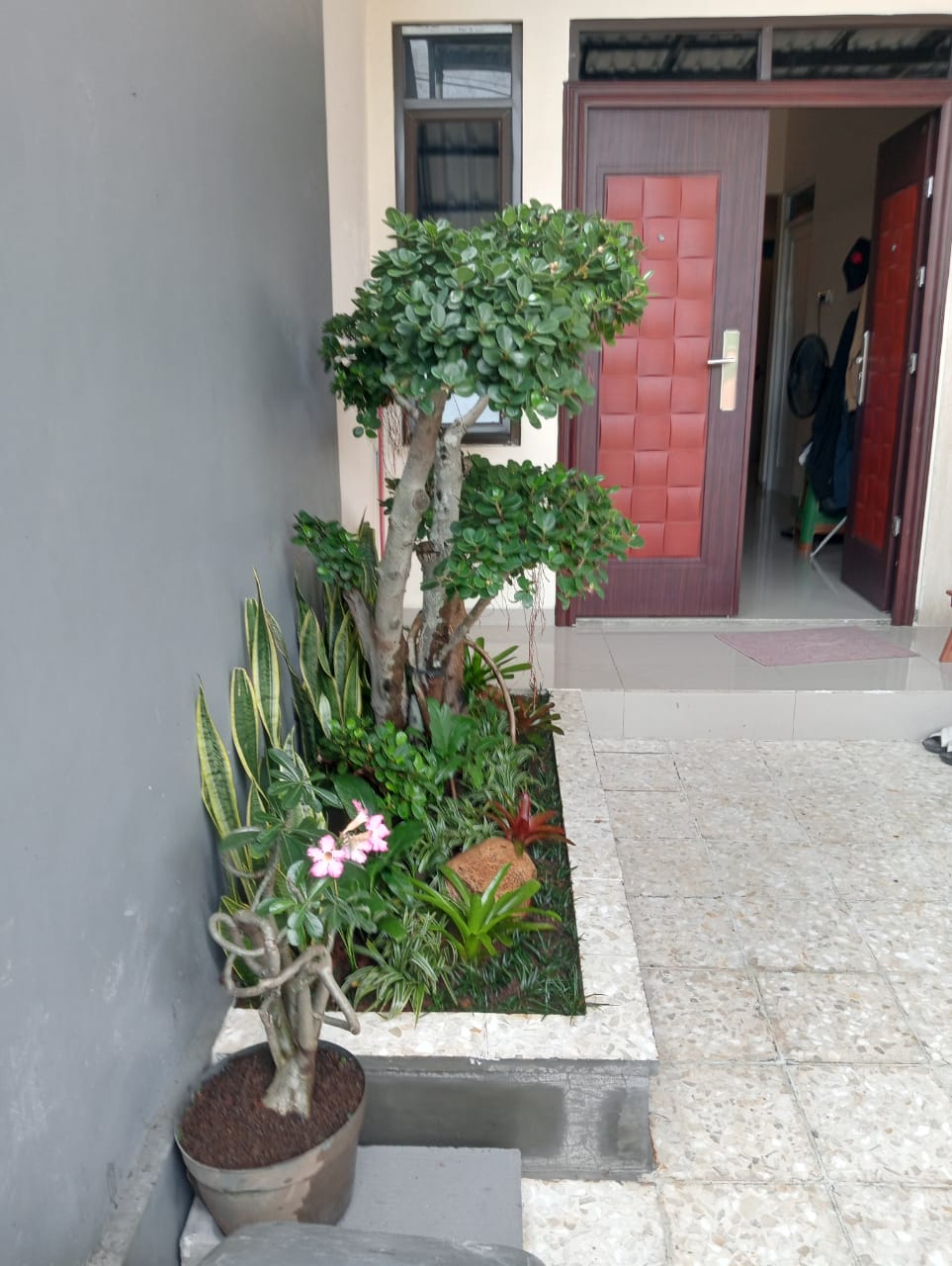 desain taman