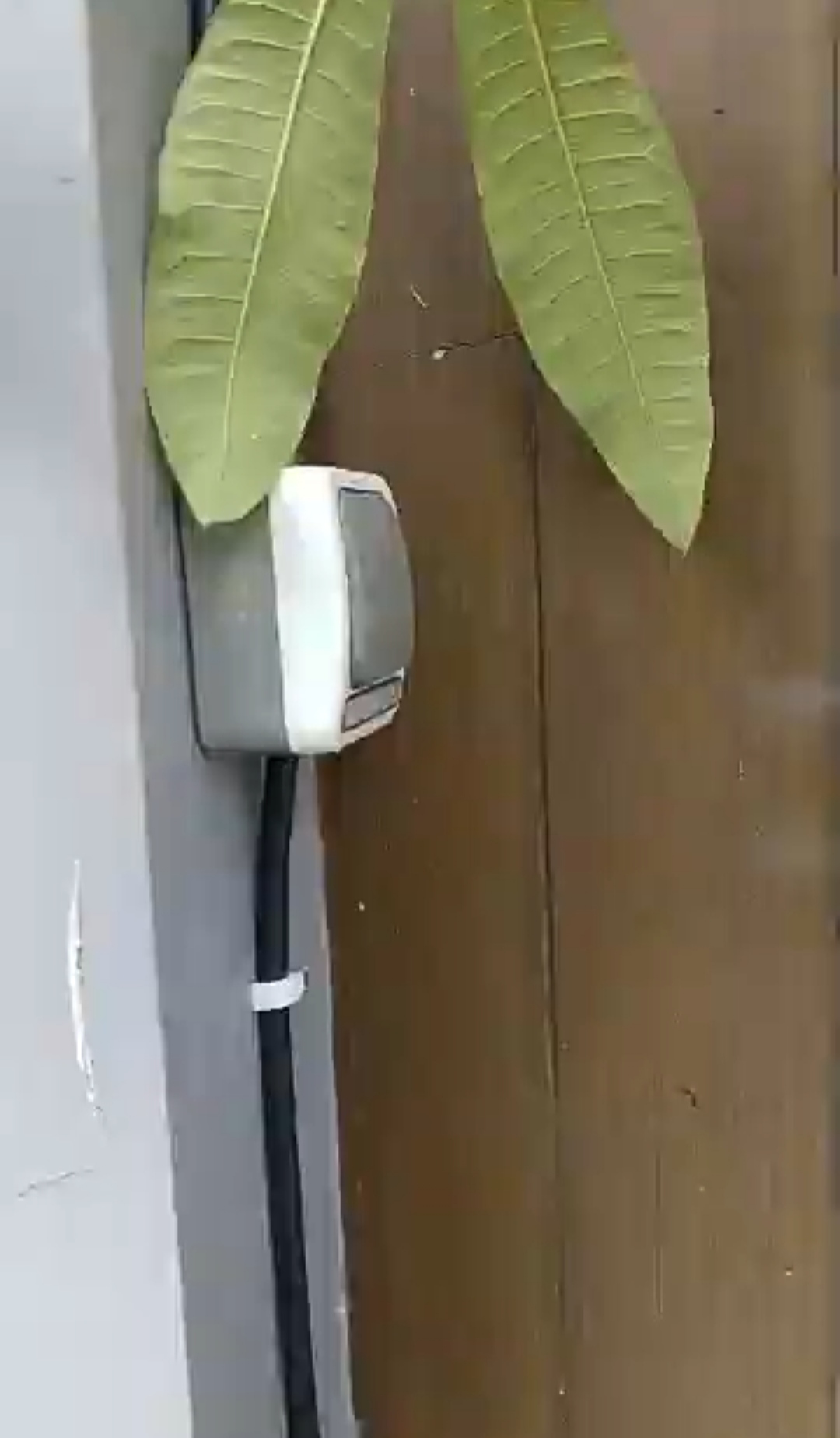 Minimalis