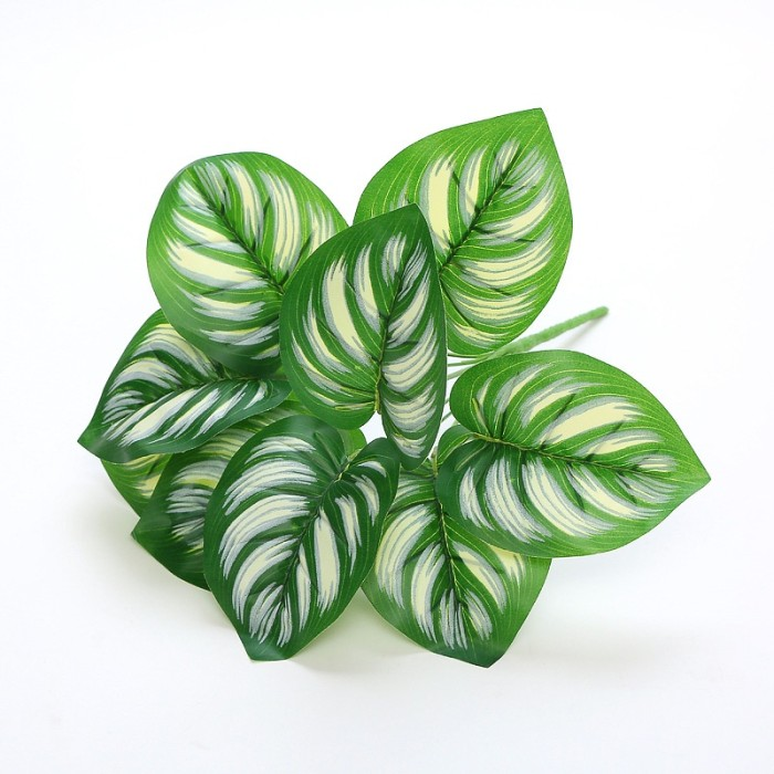 Calathea Peacock Artificial (Marketplace)