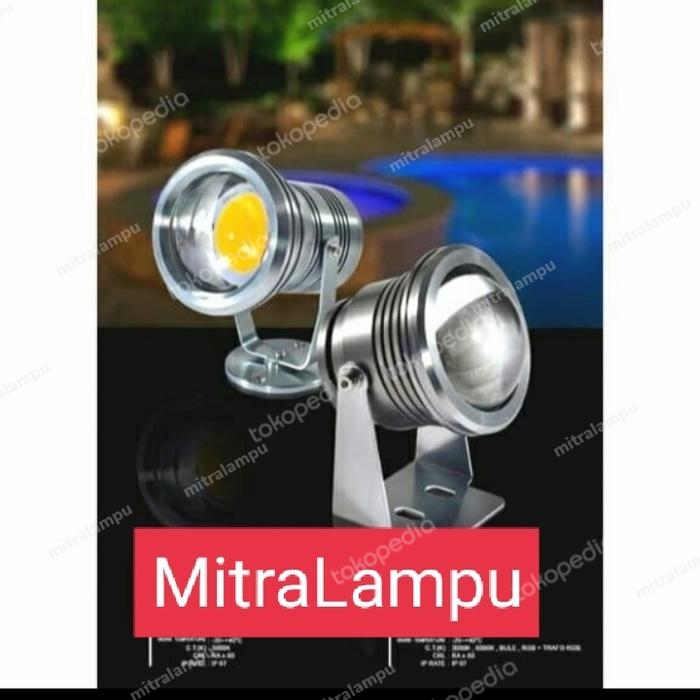 Lampu Kolam Ikan 10W 10Watt 12V 12Volt Dc Led Underwater Outdoor Lensa - Putih