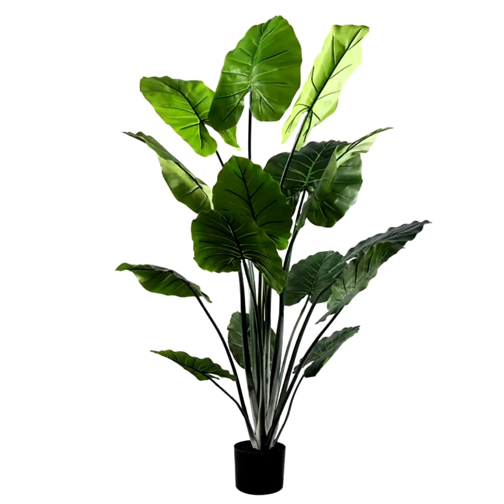 Calathea Lutea (Artificial)