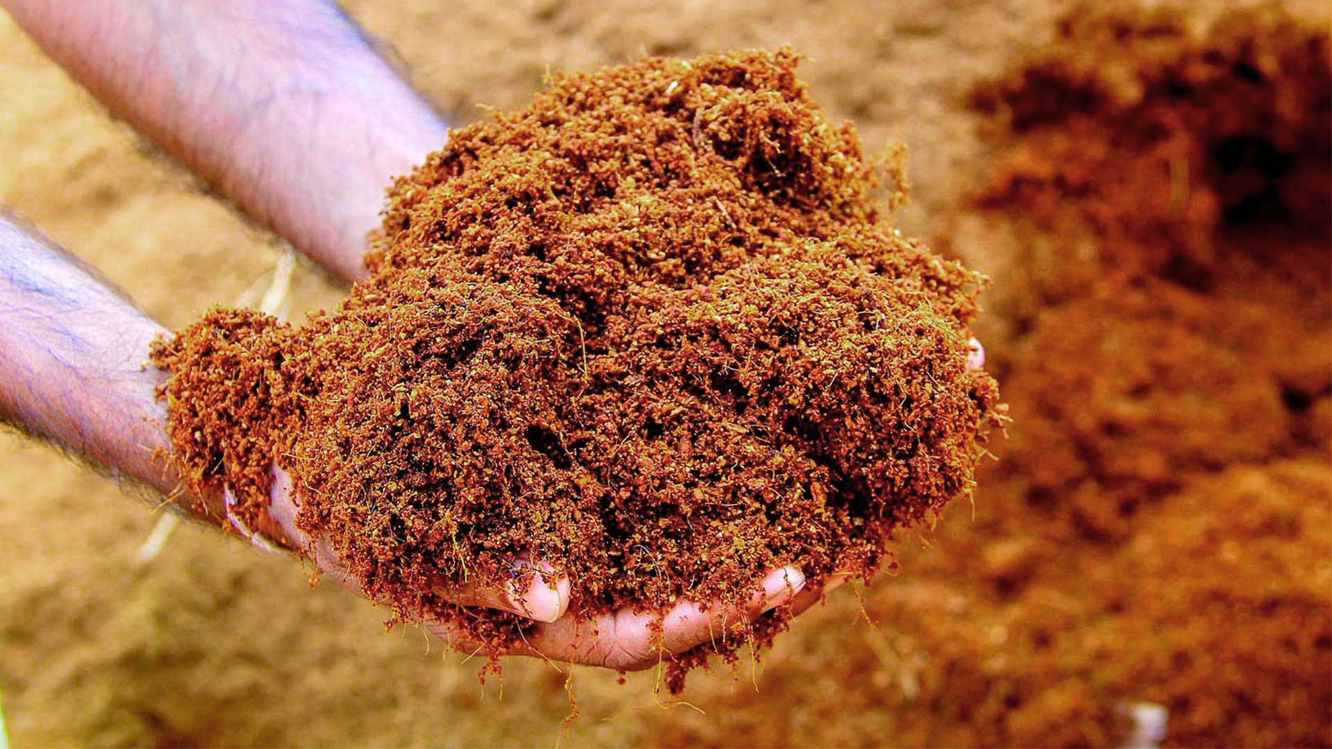 Cocopeat