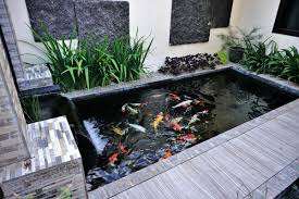 Pembersihan kolam