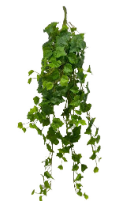 Hy Grape Hanging (Artificial)