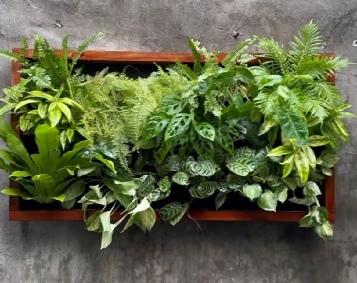 Paket Hanging Garden (Kantong Vertical, Media,  Tanaman)  150x50