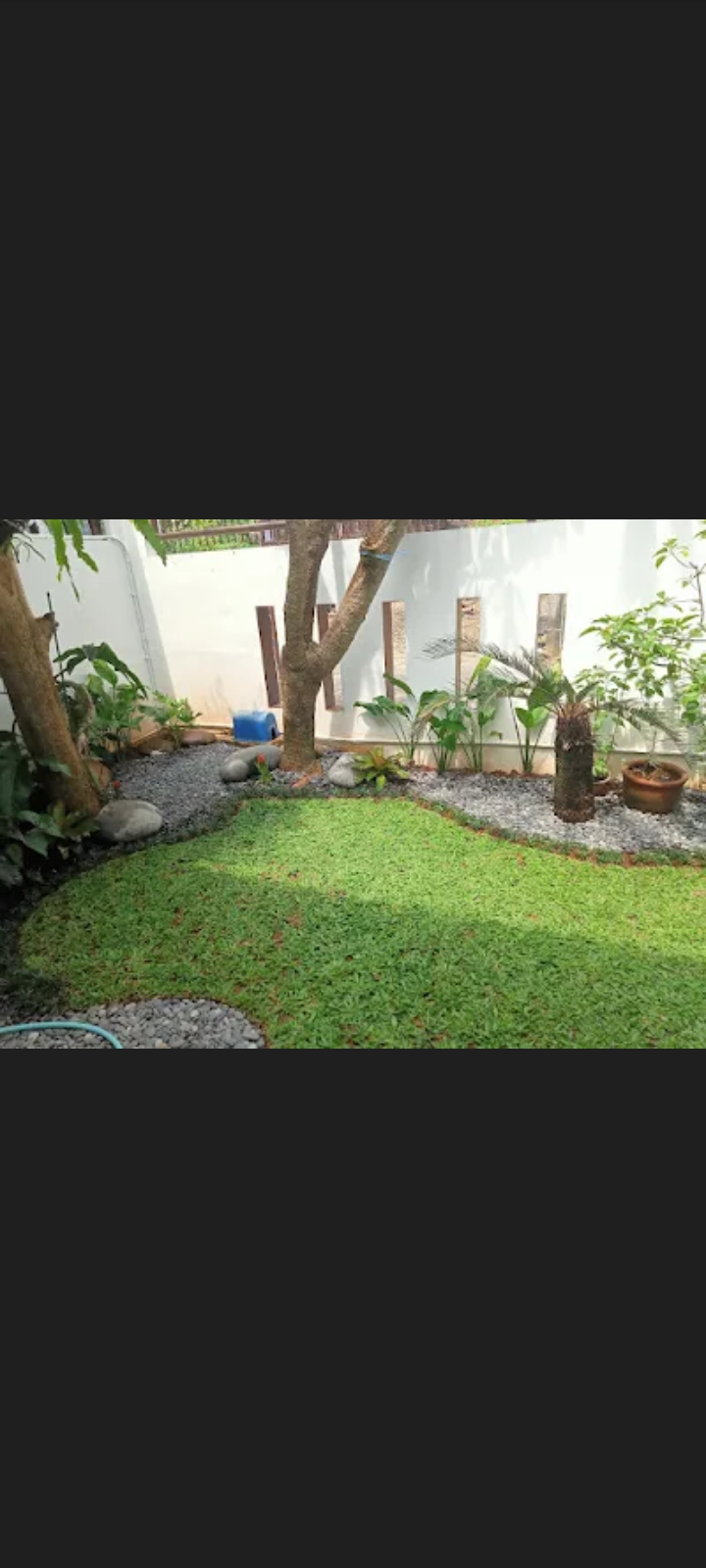 desain taman