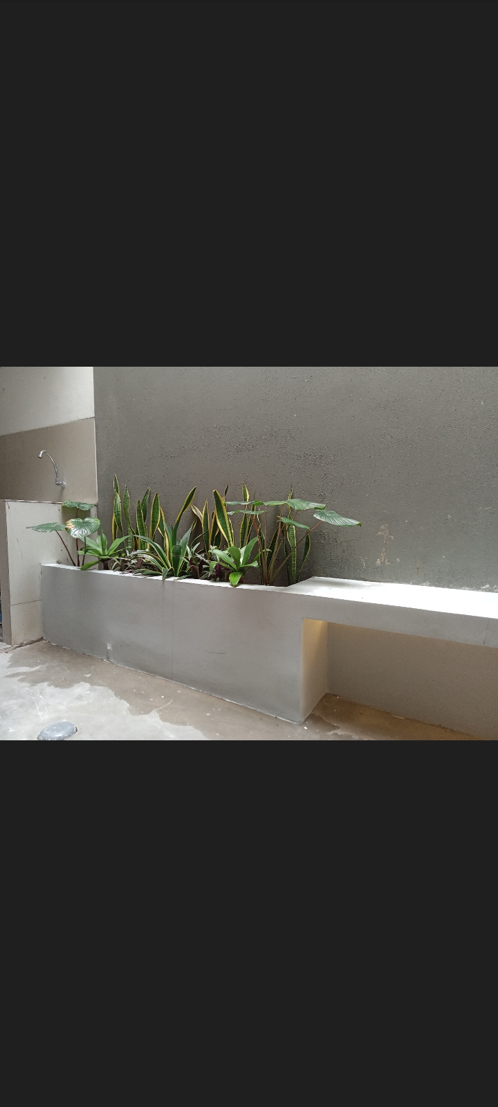 desain taman