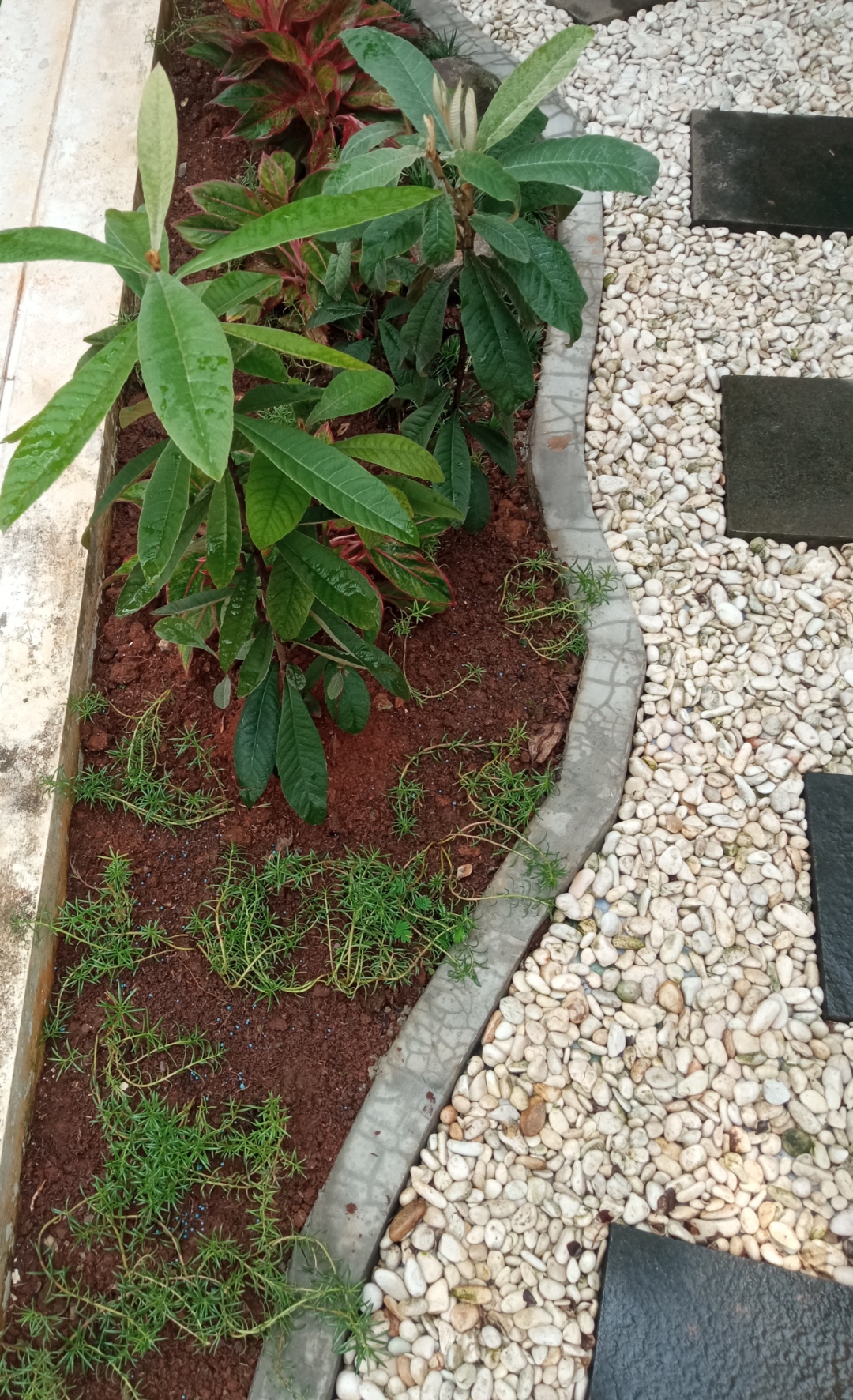 Minimalis