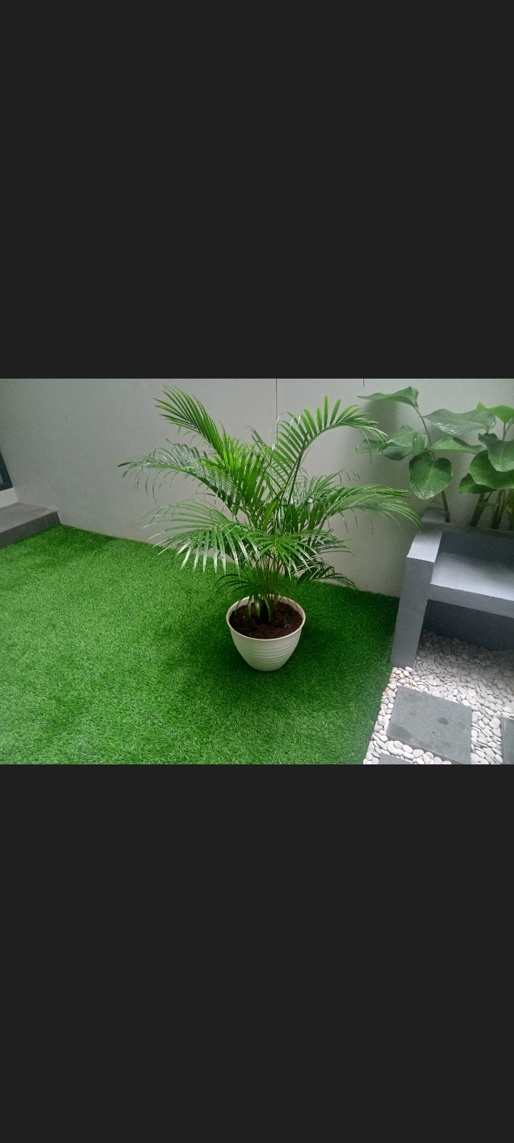 Minimalis