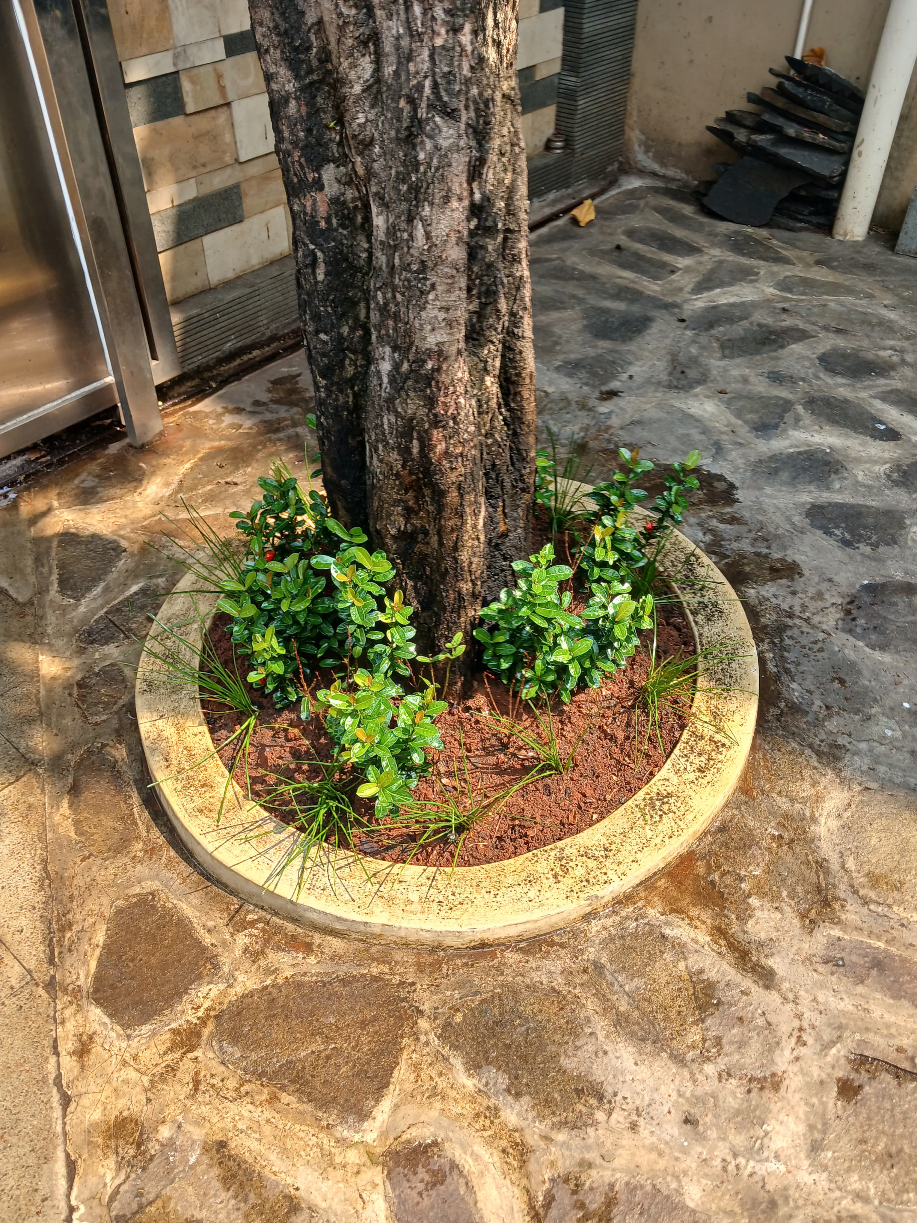 Minimalis