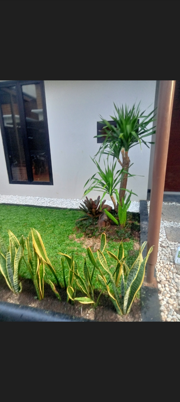 Minimalis