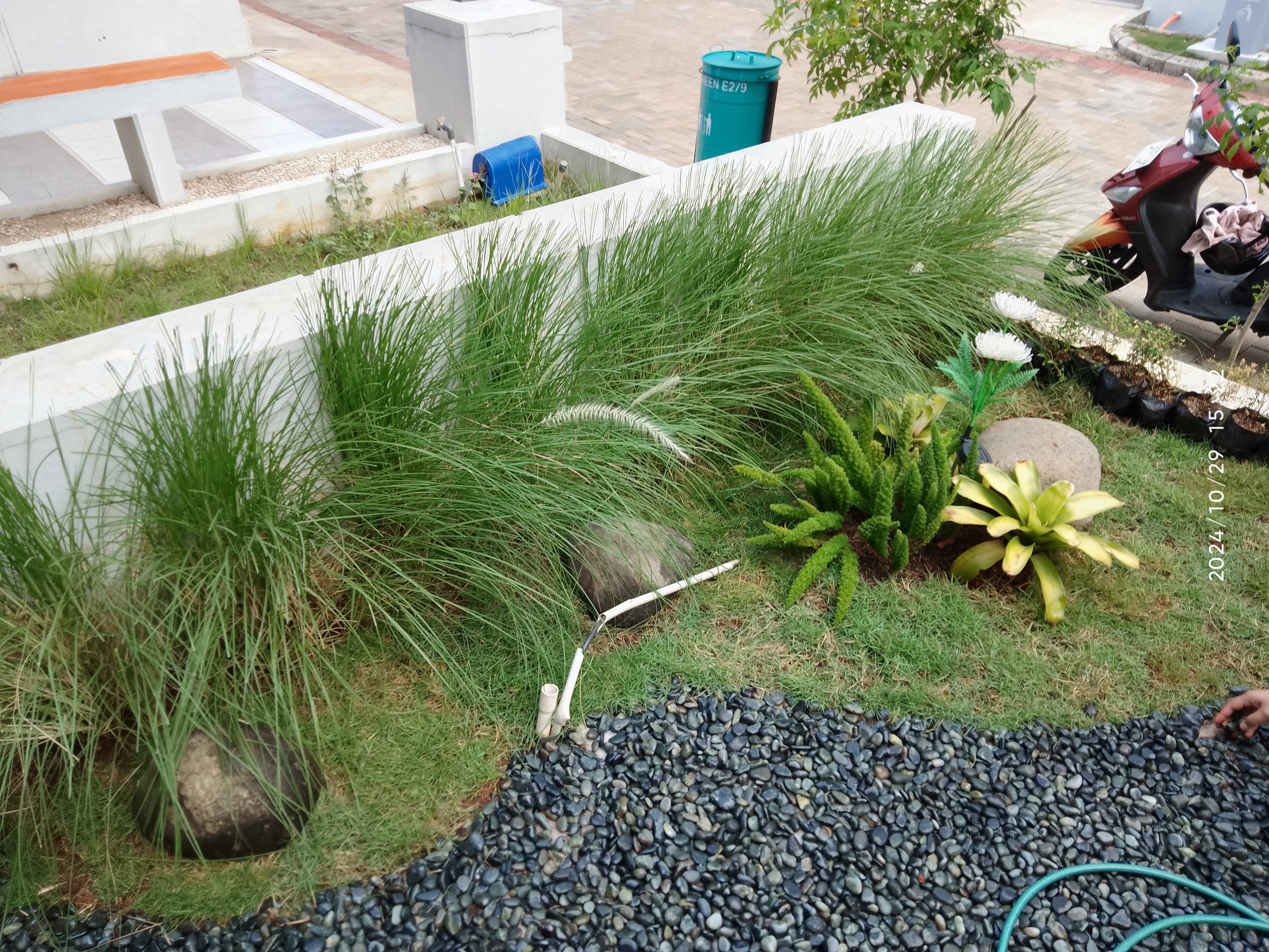 desain taman